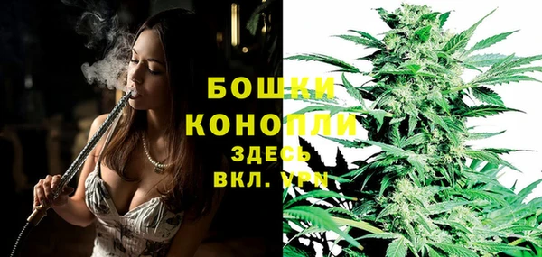 мяу мяу мука Сафоново